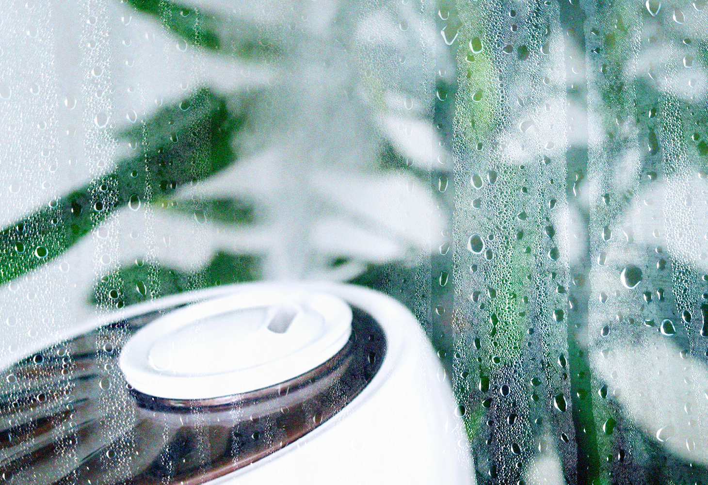 Humidifier_1